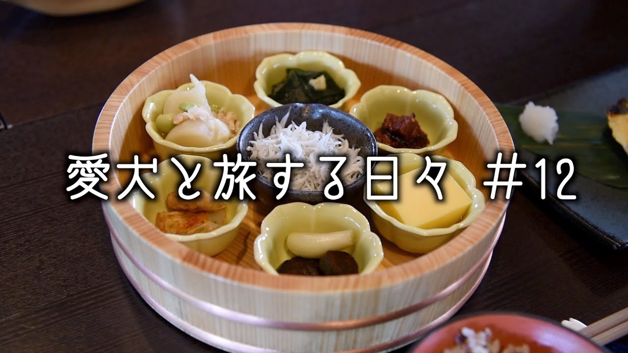 愛犬と静岡県の用宗へ行って来た。「後編」｜日本色・青藍・古民家・ペットと泊まれる宿・駿河湾・三保の松原・日本平【愛犬と旅する日々】