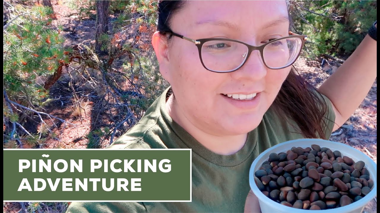 BACK TO THE REZ | PIÑON PICKING | PRETTYBOY DETAILING