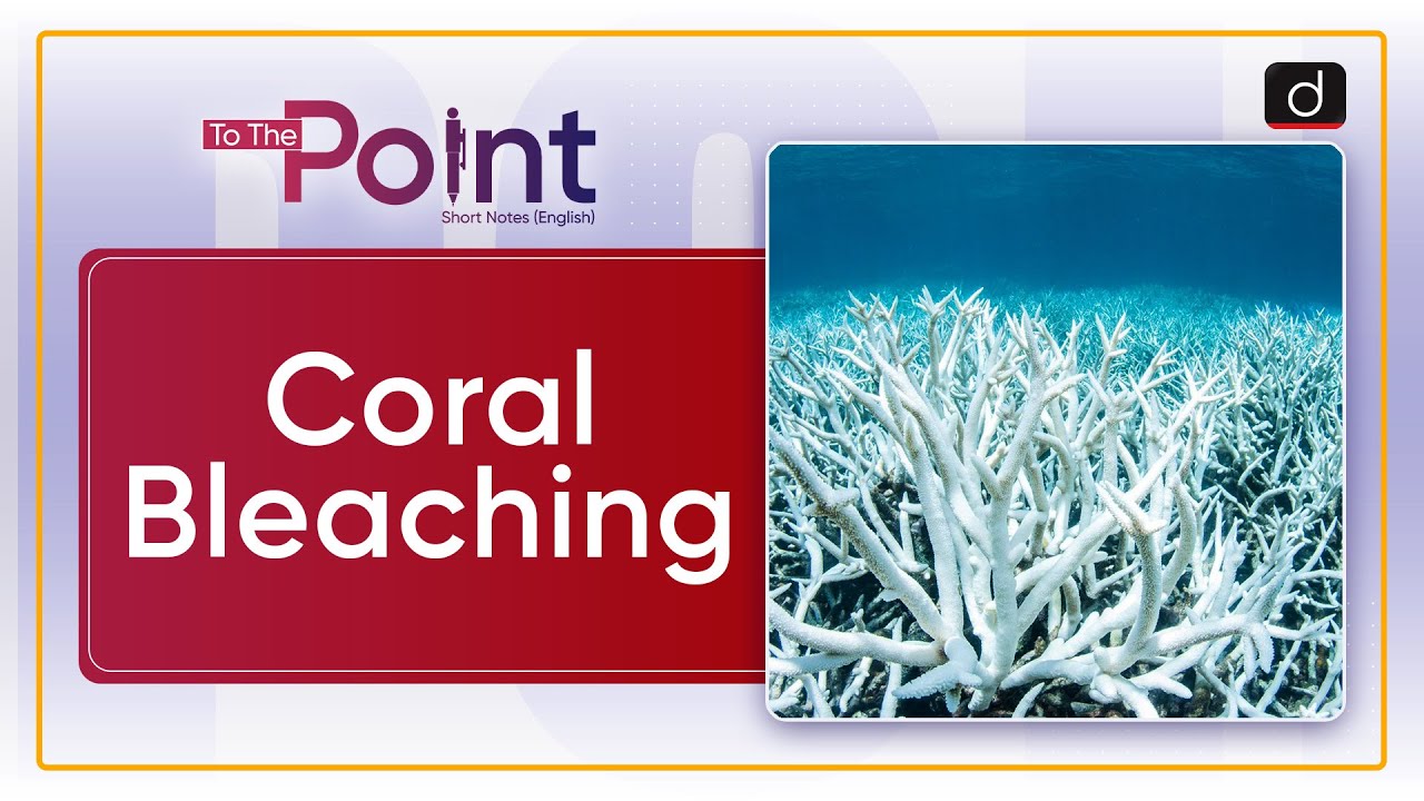 Coral Bleaching - To The Point | Drishti IAS English