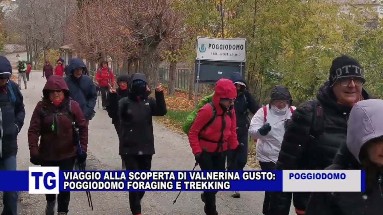 VIAGGIO ALLA SCOPERTA DI VALNERINA GUSTO:POGGIODOMO FORAGING E TREKKING