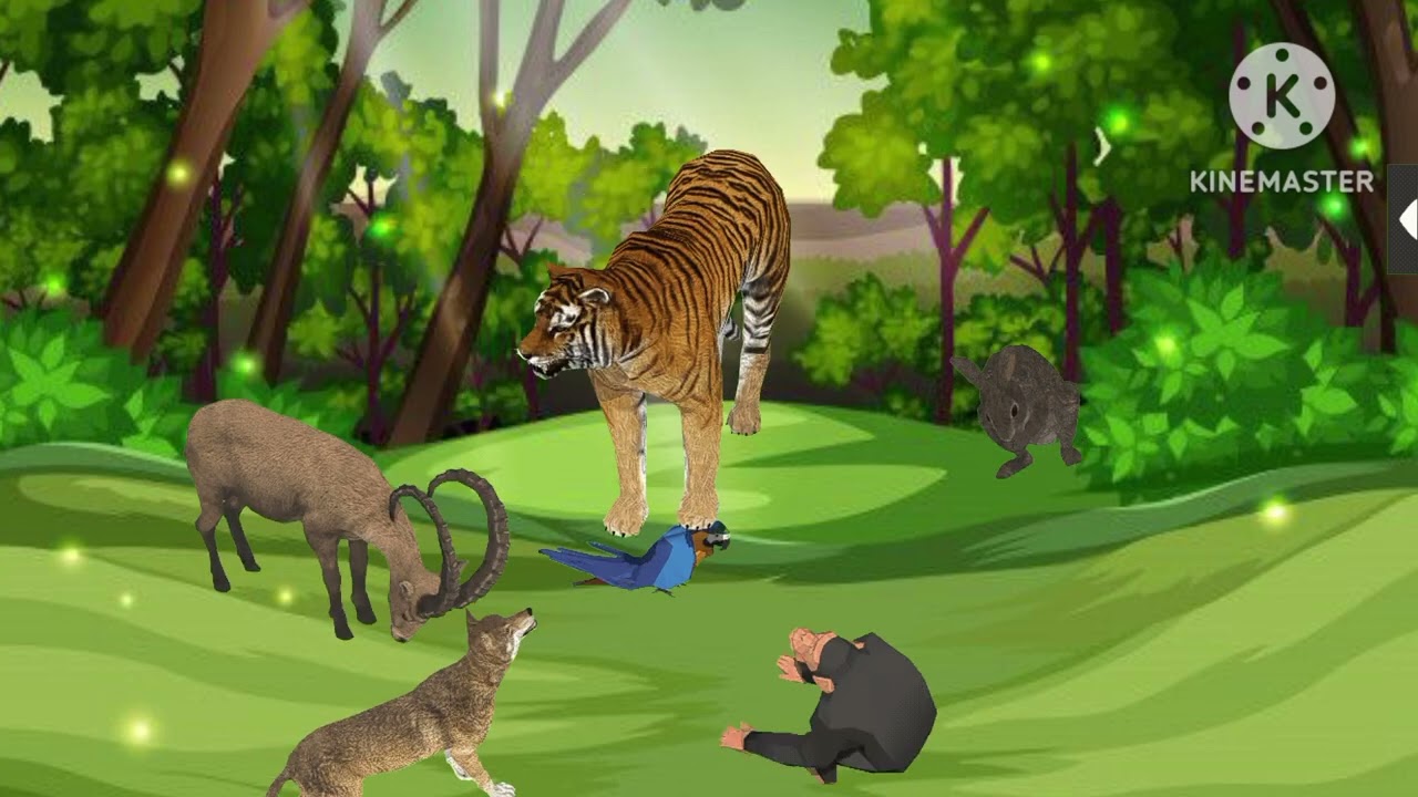 চালাক সেয়াল,chalak seyal