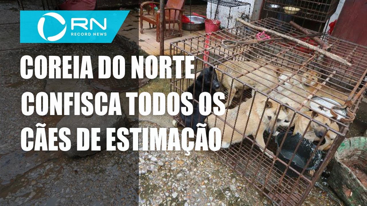 Coreia do Norte confisca todos os cachorros de estimação