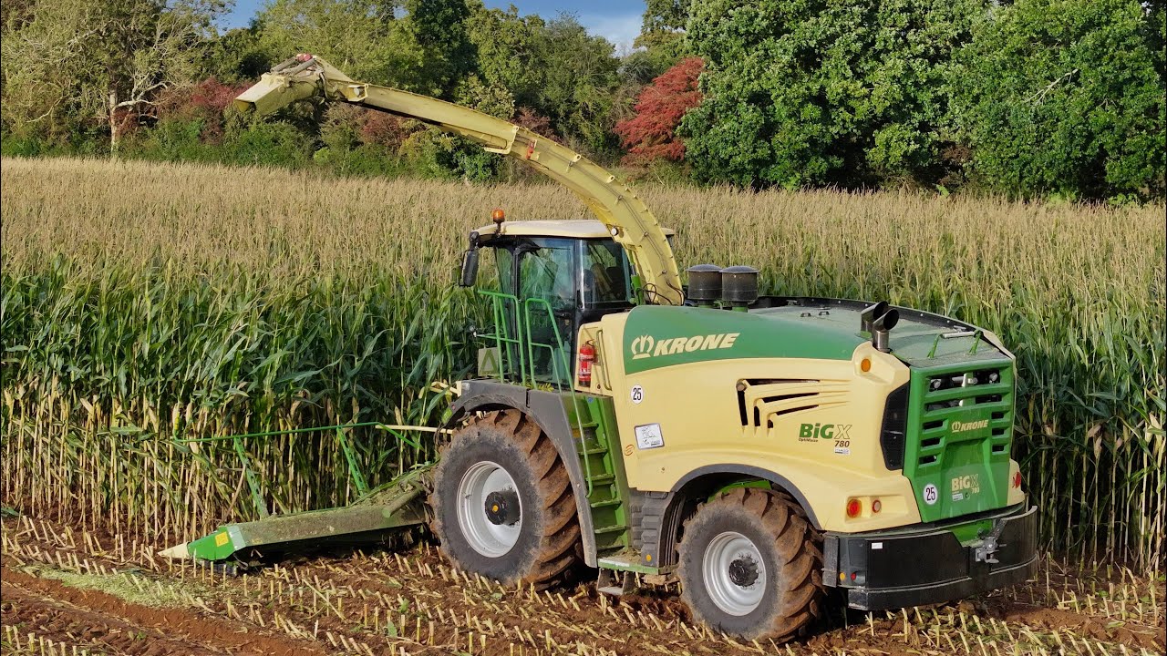 Ensilage de maïs 🌽 en Normandie / KRONE BIG X 780 / CUMA DE COLOMBY 