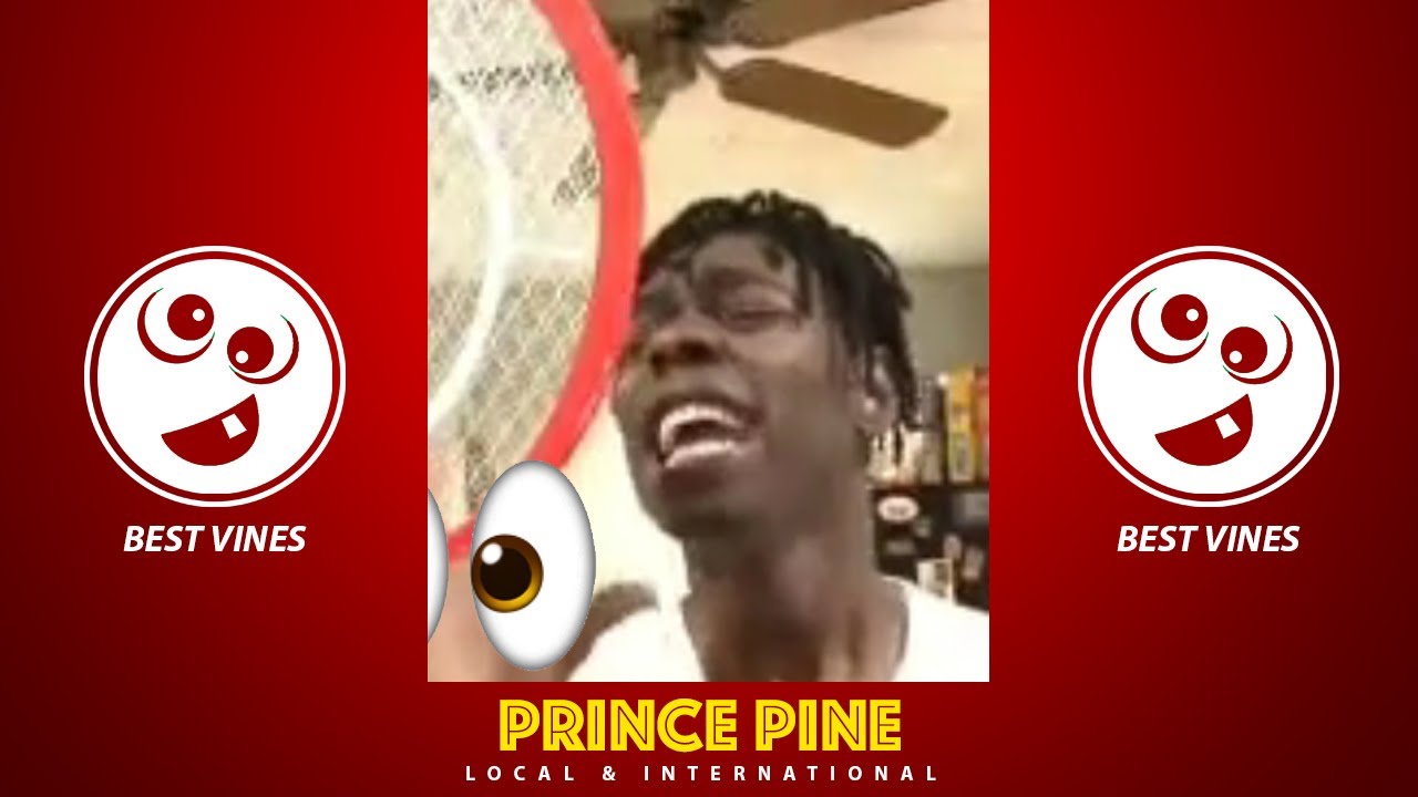 PRINCE PINE BEST VINES 2020 | COMPILATION #1 | MUST SEE!!!