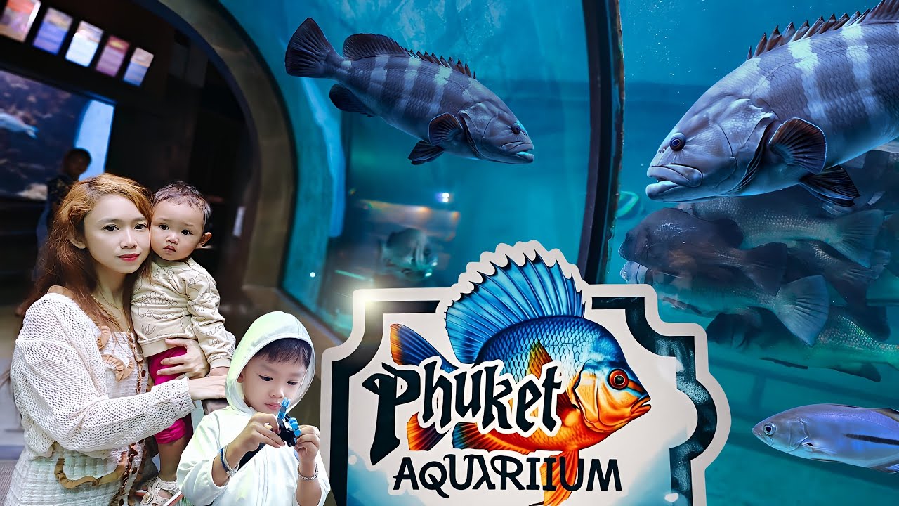 ภูเก็ตอควาเรียม Phuket Aquarium สถานแสดงพันธุ์สัตว์น้ำภูเก็ต มีอุโมงค์ปลา !! | การัณย์