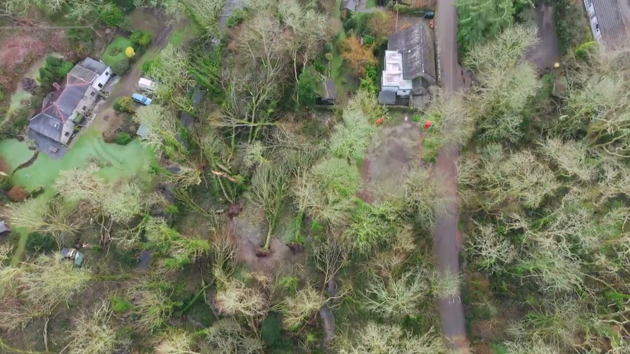 Lamorna Valley by drone