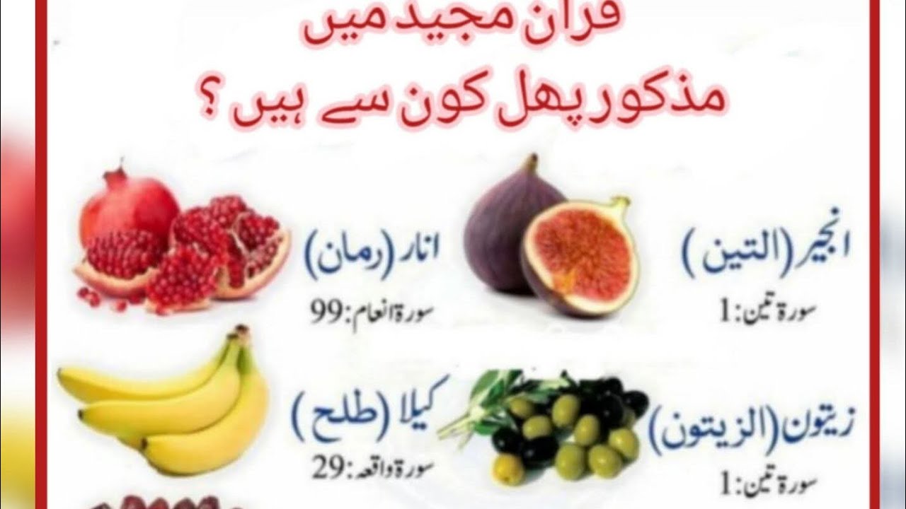 Mary pyary veiwer ap sub ko mari pyar bara Asalamualikum