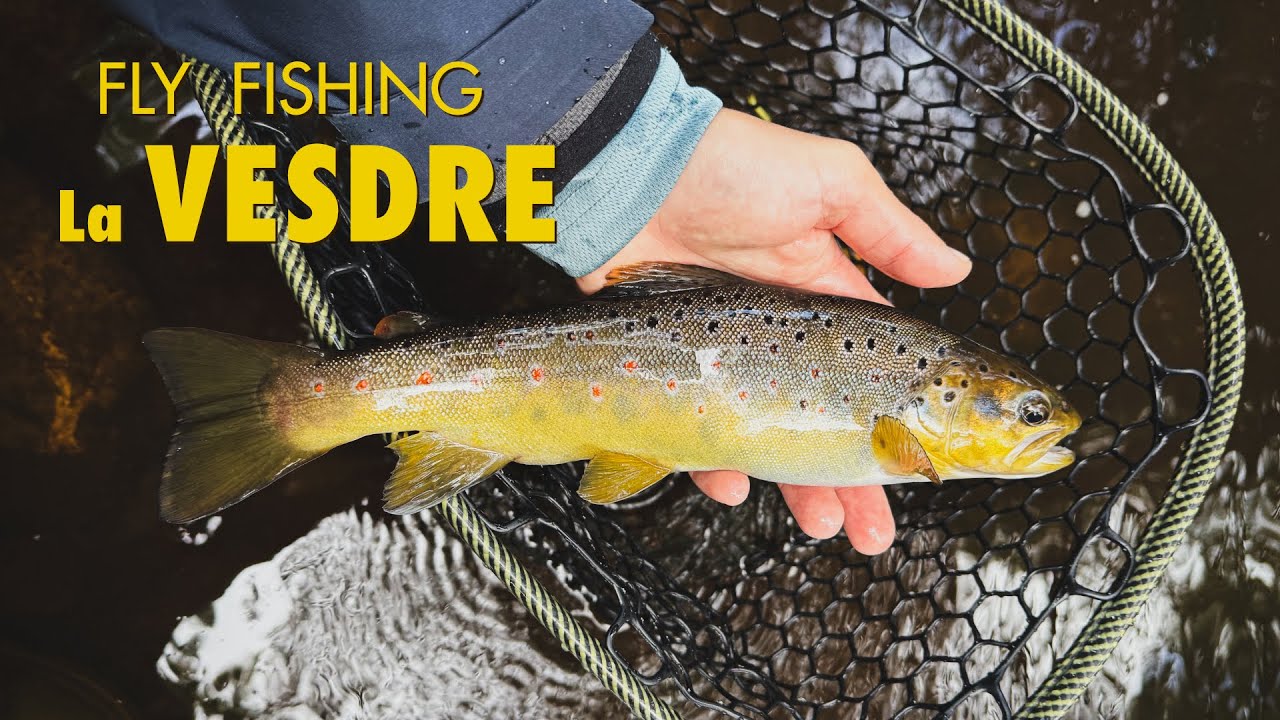 My last day of the 2025 Belgian trout season - fly fishing the Vesdre near Eupen