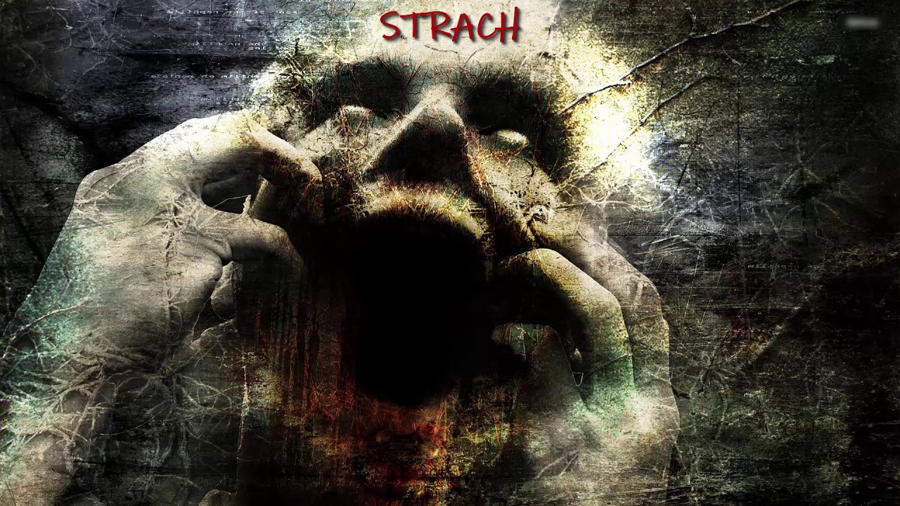 Słoń - Strach (Najgorszy przyjaciel człowieka) / Madness Blend