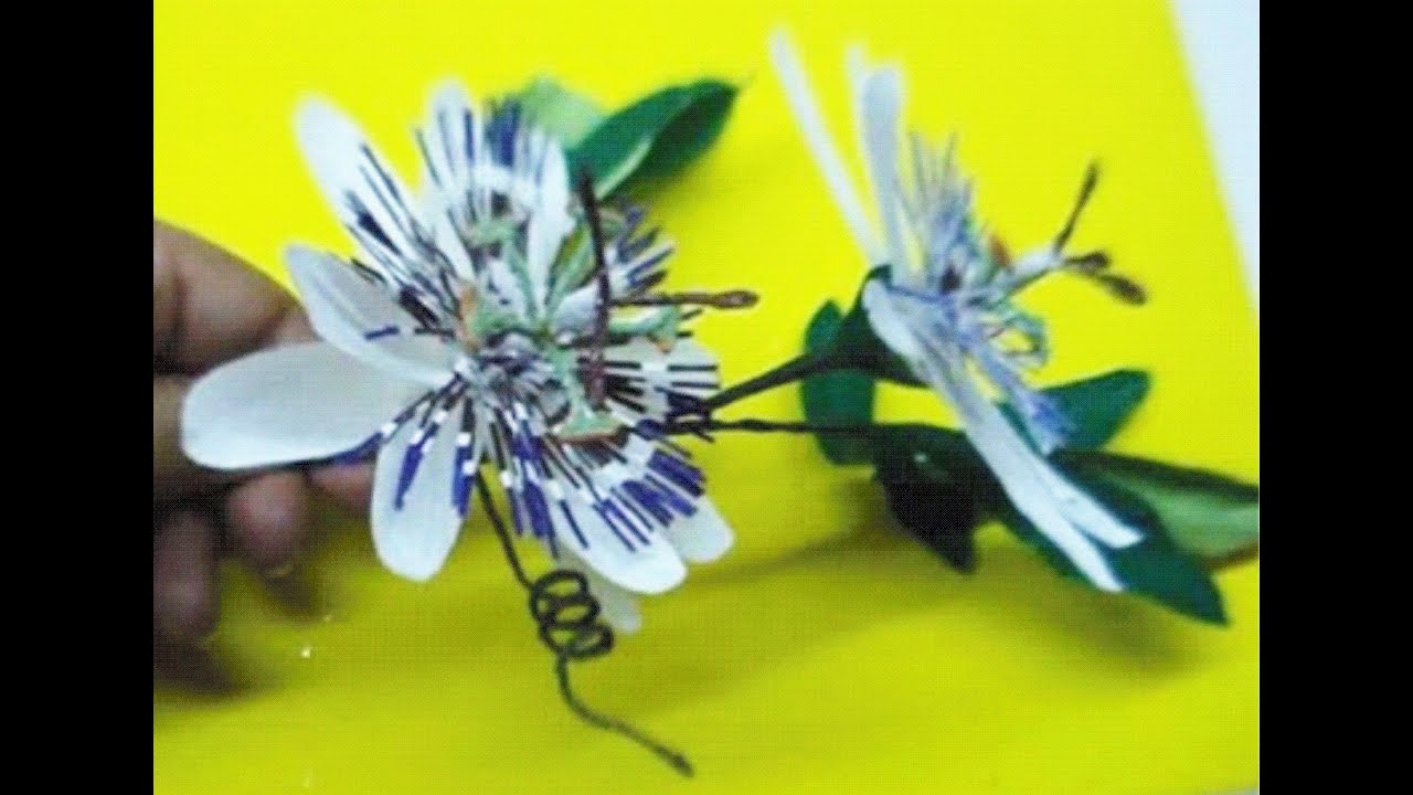 How to make Paper Flower Passion flower \ Passiflora Caerulea(Flower # 39)