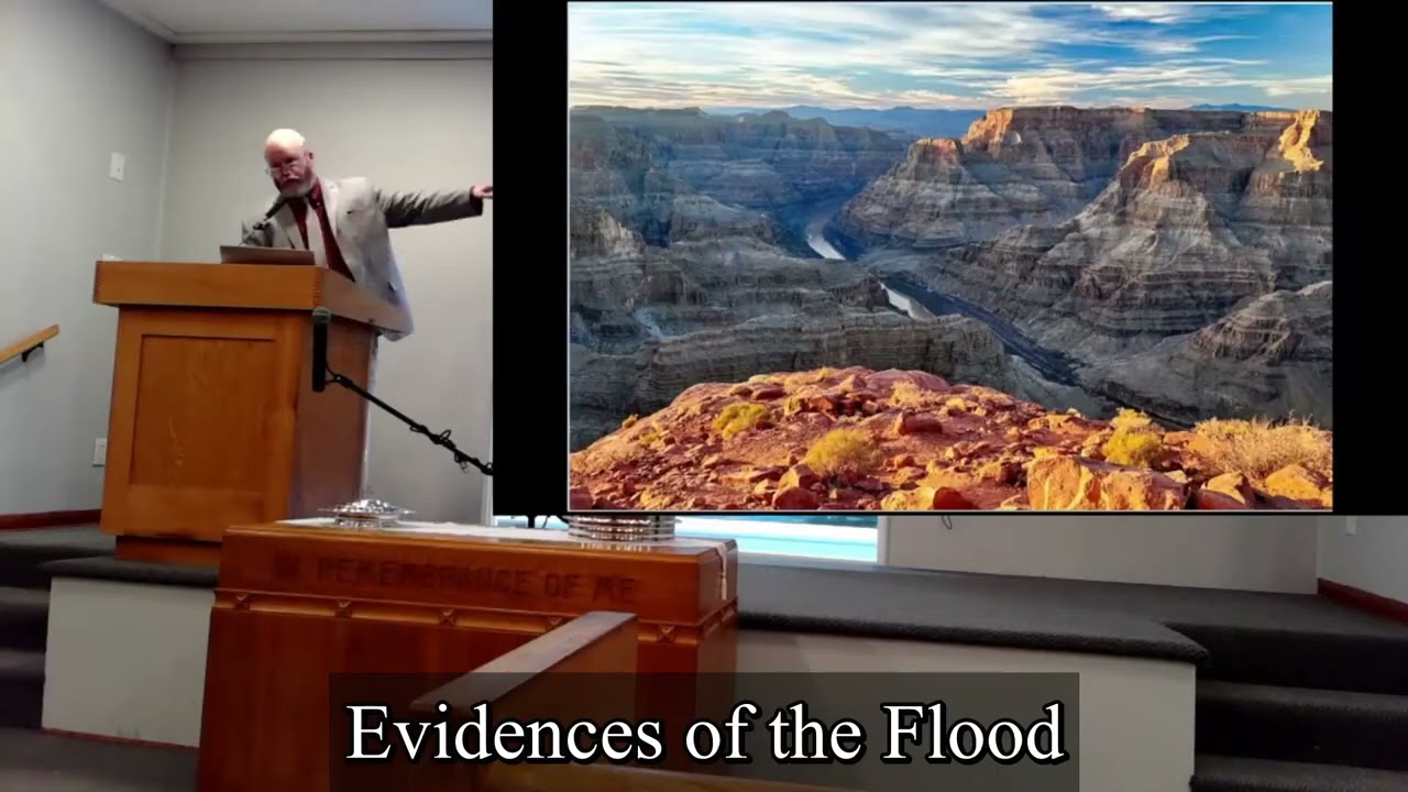 Genesis: Evidences of the Flood