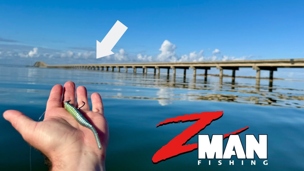 THESE Fish Could Not Resist This Lure! **Shallow Water Sight Cast Fishing**