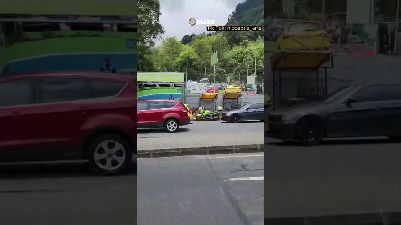 &ldquo;Me encanta vivir en Bogot&aacute;&rdquo; Parte 2 | Pulzo