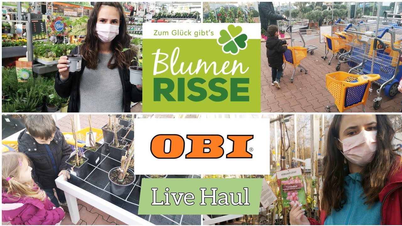Blumen Risse & Obi live Haul | Wir kaufen für unseren Garten ein | 🍒 🍅 🌱 | Marytuga