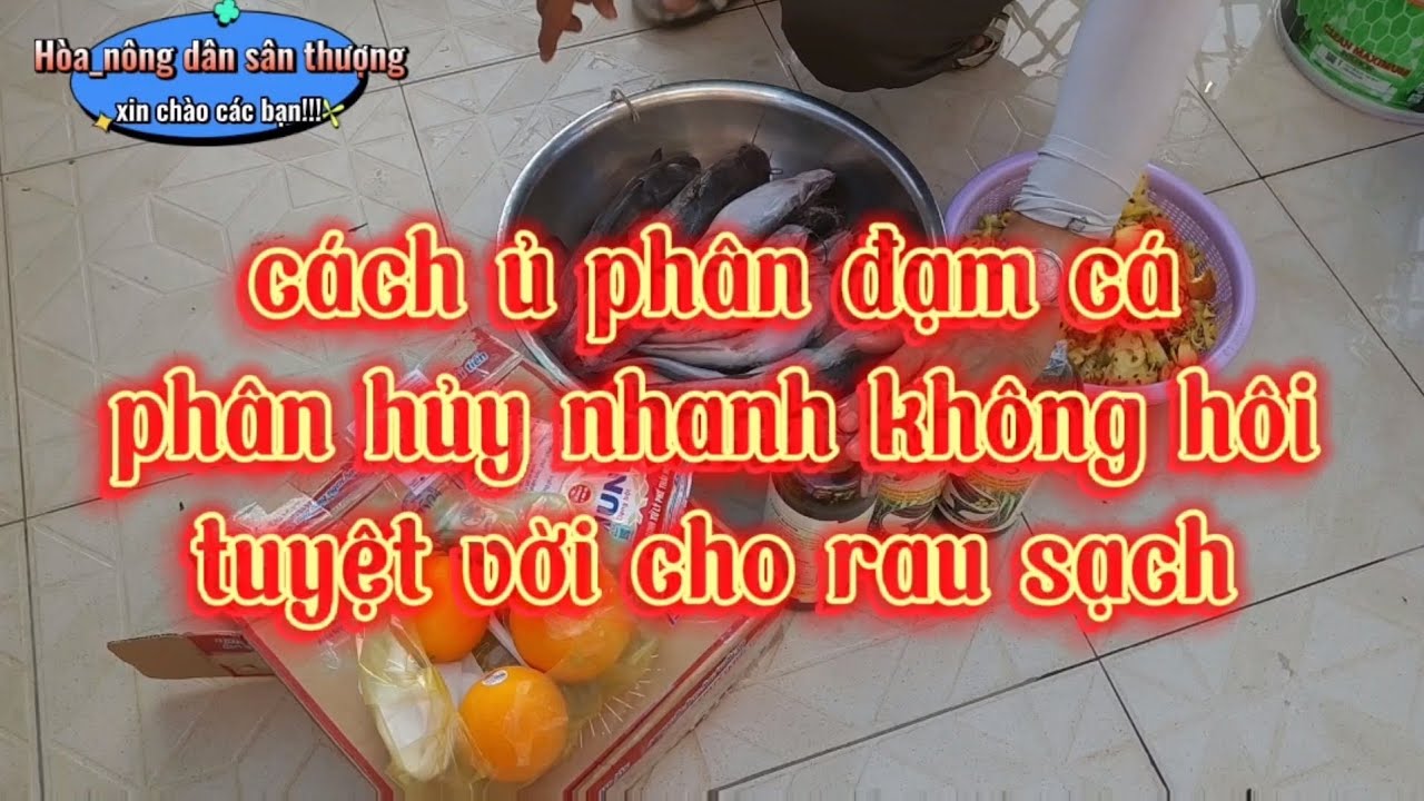 Bí quyết ủ đạm cá nhanh phân hủy không hôi#07Hoa_Nongdansanthuong