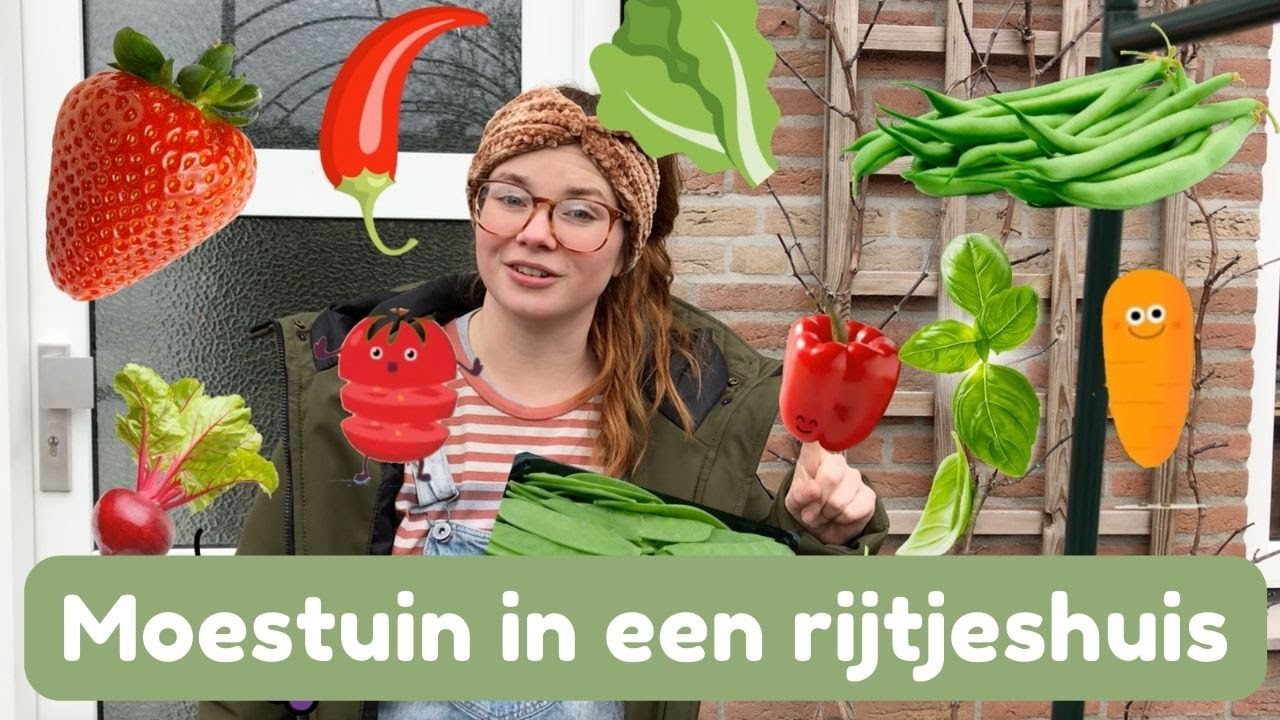 Winter MOESTUIN tour | Sneak peek achtertuin! | Moestuinieren in een rijtjeshuis