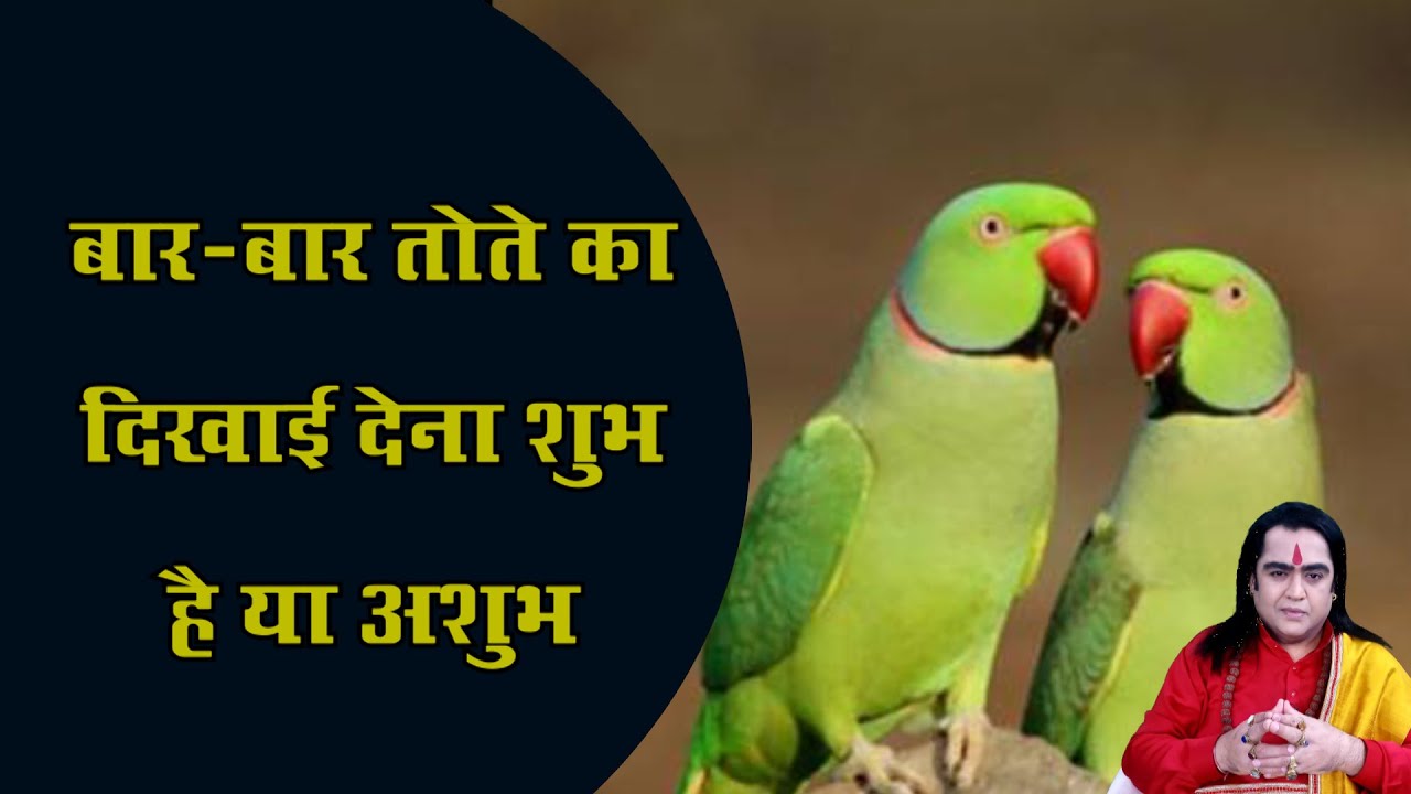 बार-बार तोते का दिखाई देना शुभ है या अशुभ | Shakun-Apshakun| Kamal Nandlal