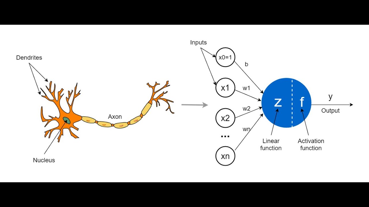 Intelligence Artificielle bdarija: Perceptron-01