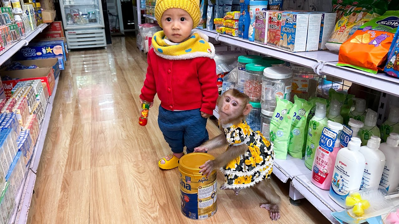 So CUte! Monkey Kaka and baby Diem go shopping to buy milk