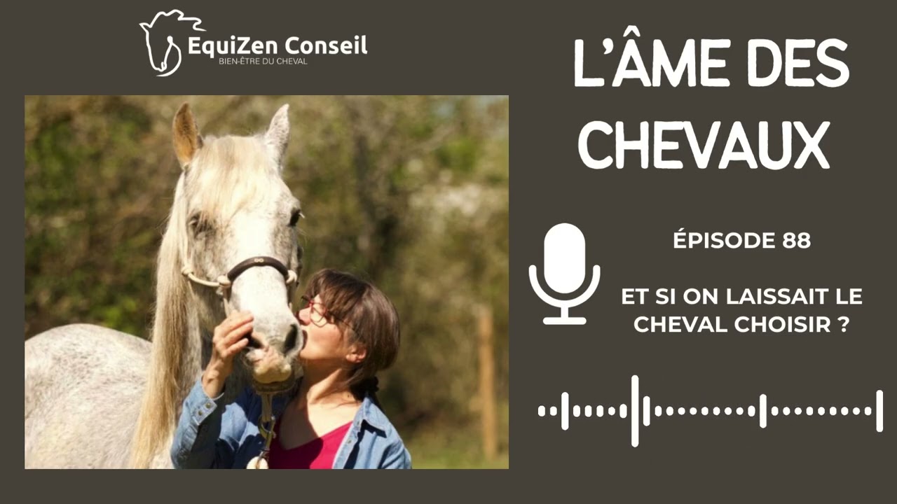 EP88 - Et si on laissait le cheval choisir ?