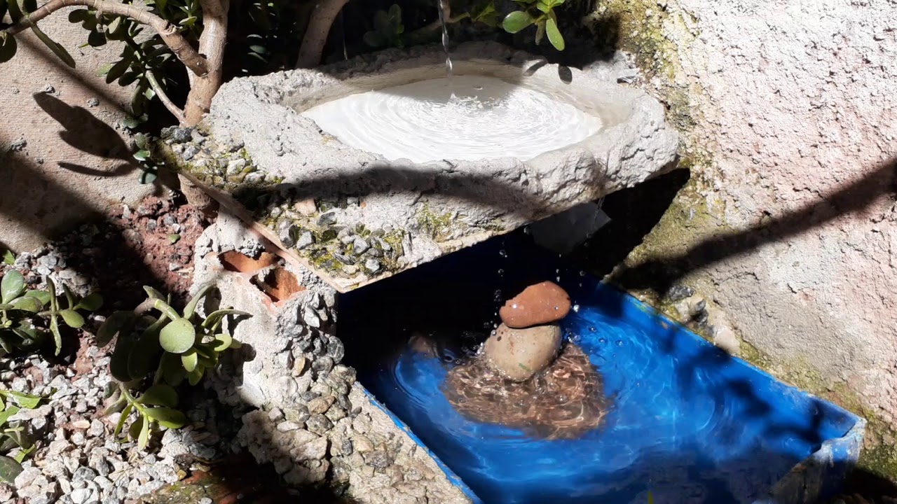 Viveiro de pássaros