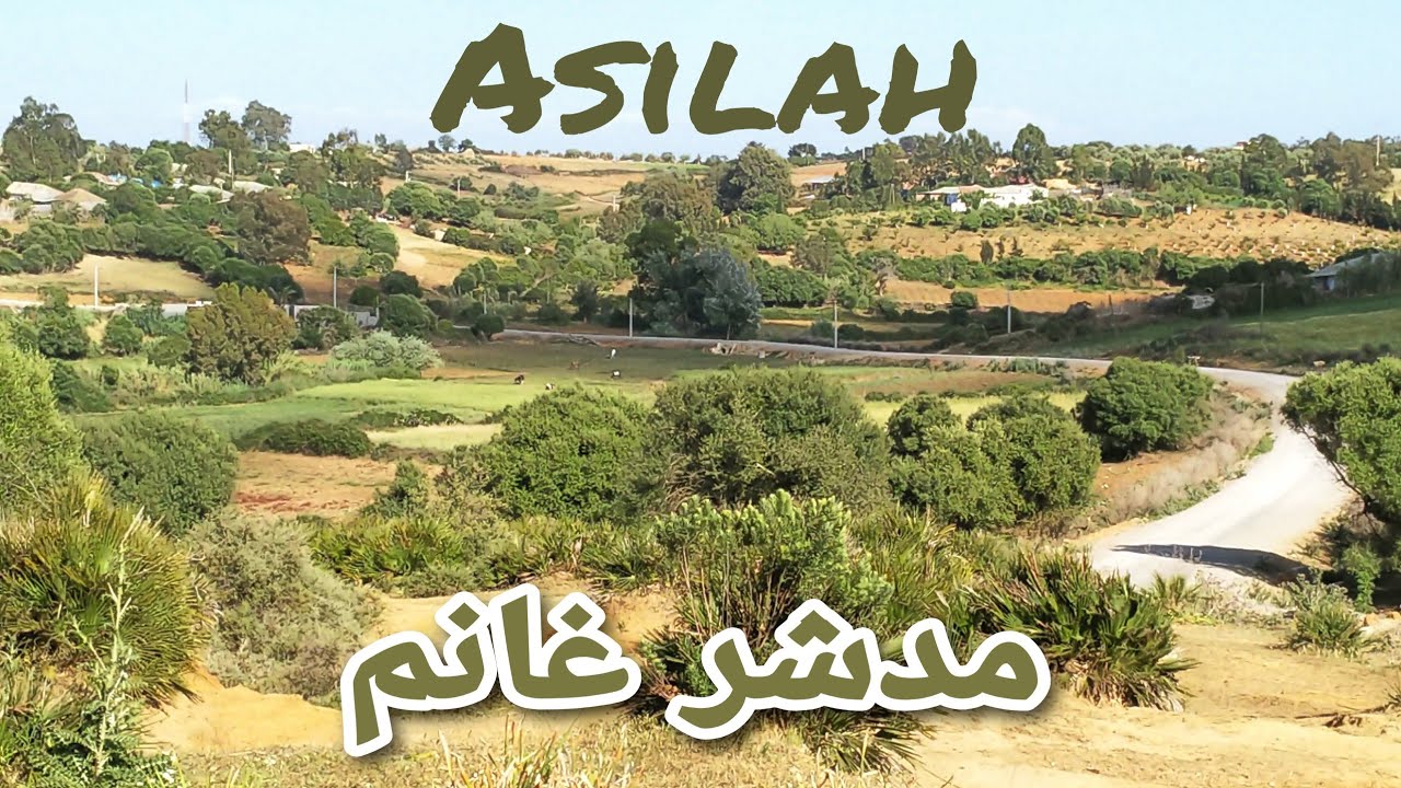 إطلالة على مدشر غانم الجميل ، مناظر طبيعية خلابة نواحي مدينة أصيلة