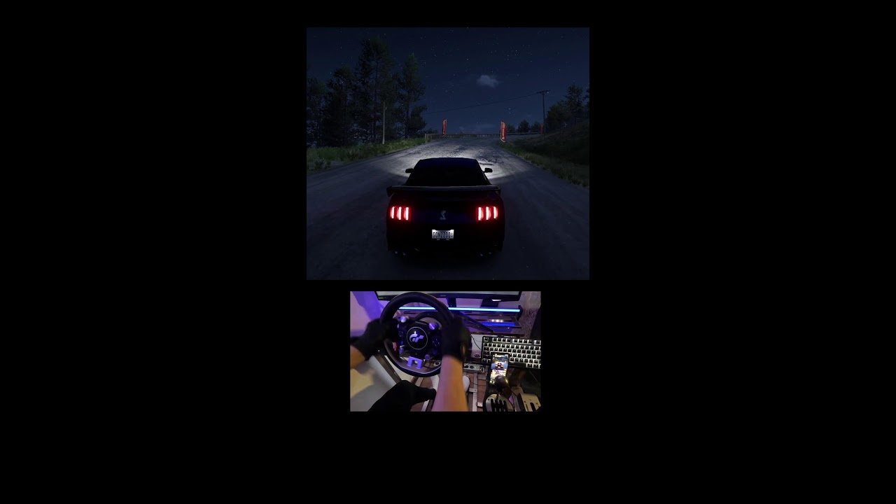Forza Horizon 5 Live steering wheel