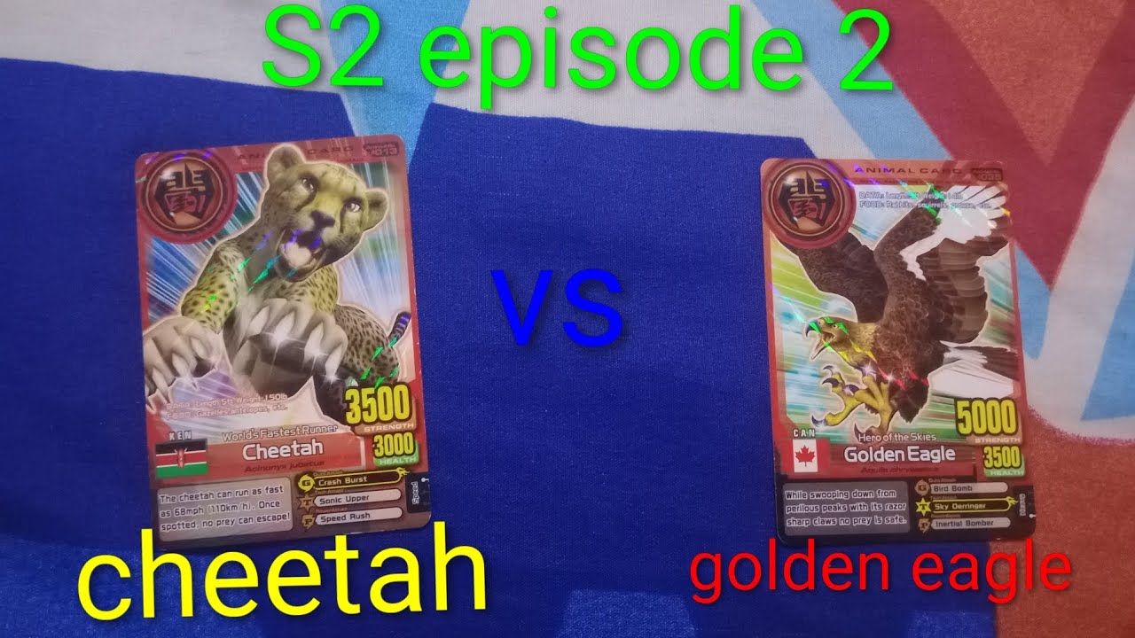 Tournament Animal kaiser+ season 2 episode 2(cheetah vs golden eagle)