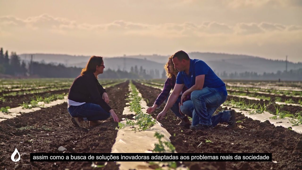 SUWANU EUROPE: Conhecimento prático sobre o uso de água recuperada para irrigação agrícola na Europa