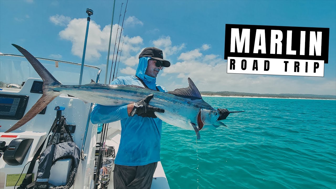 Marlin Road Trip @ K'gari / Fraser Island