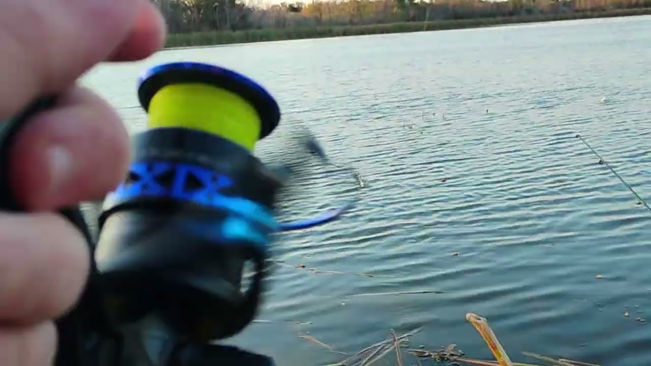 February Bass Fishing (Missed one Caught one)