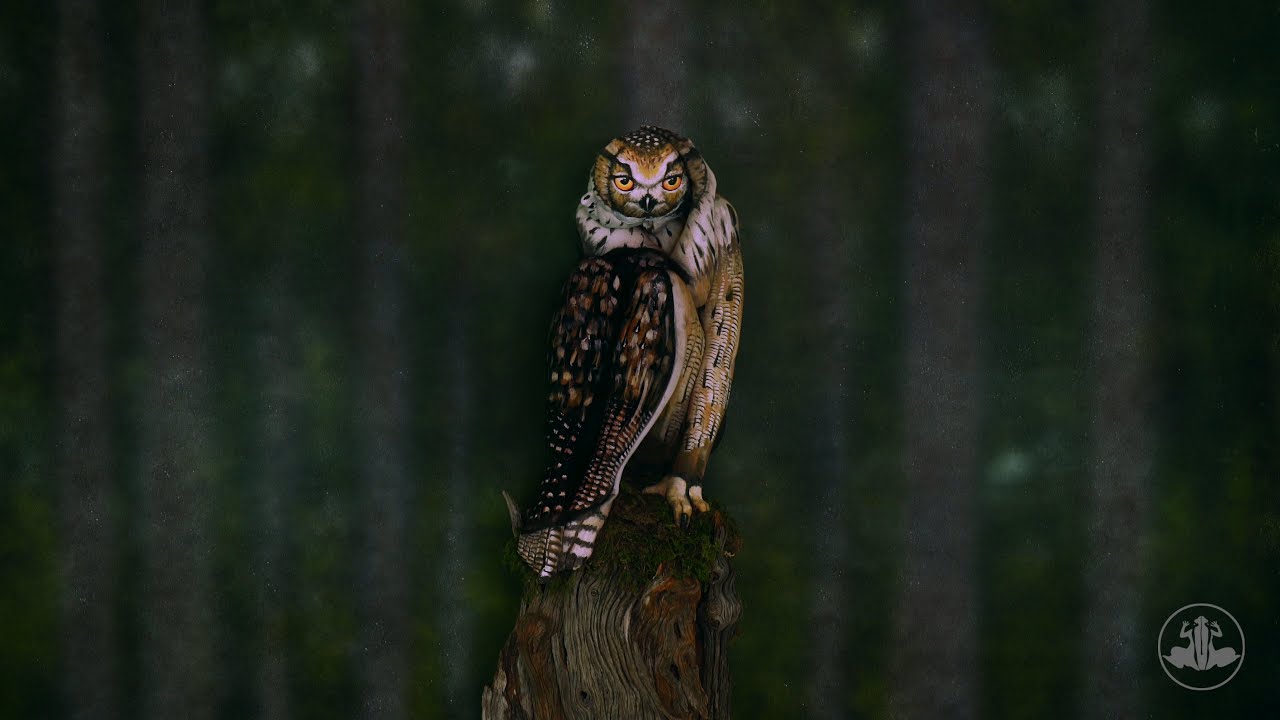 🦉Owl - Bodypainting Illusion by Johannes St&ouml;tter
