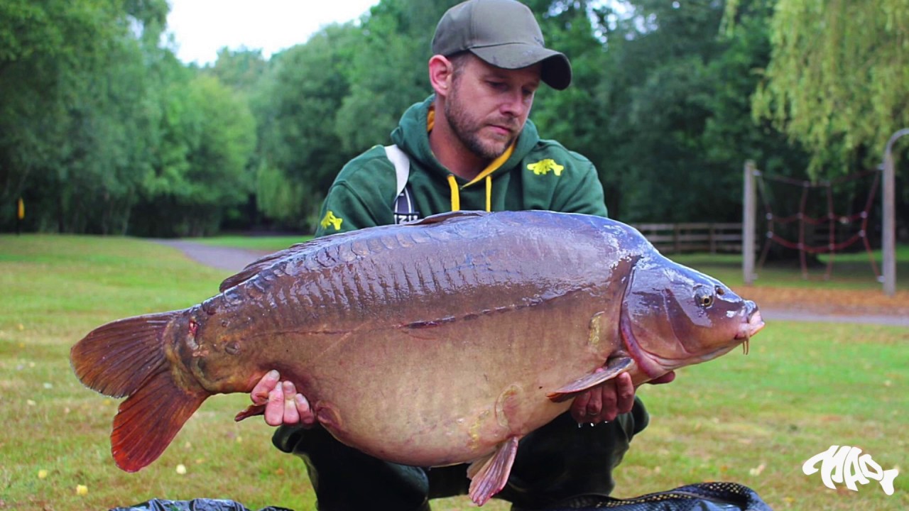 Mad Baits @ Wellington Country Park