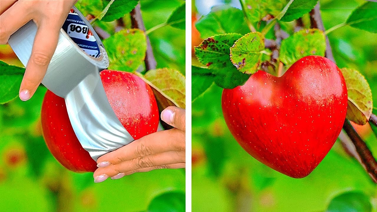26 SIMPLES CONSEJOS DE CRECIMIENTO DE PLANTAS PARA TU PEQUEÑO JARDÍN