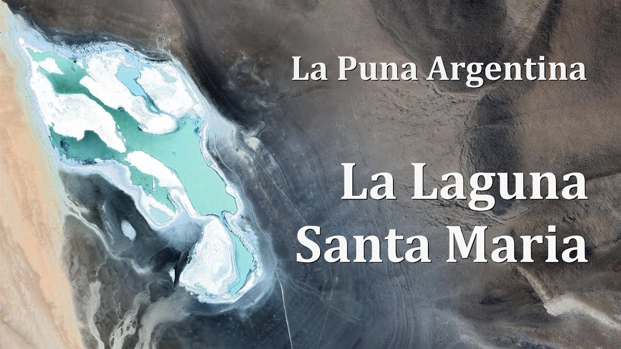 Puna Argentina - La Laguna Santa Maria - HD 4K