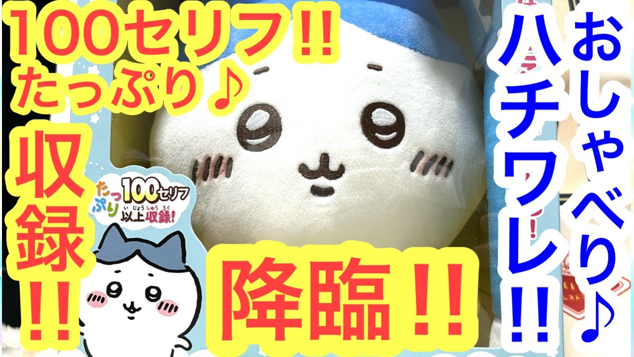 【ちいかわ】超いっぱいおしゃべりハチワレがついに家に来た！！＾＾