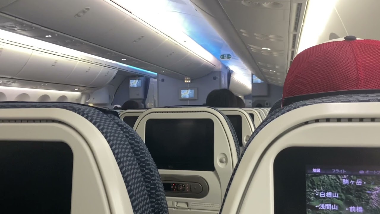 ANA Boeing 787 巡航中と降下中の揺れ