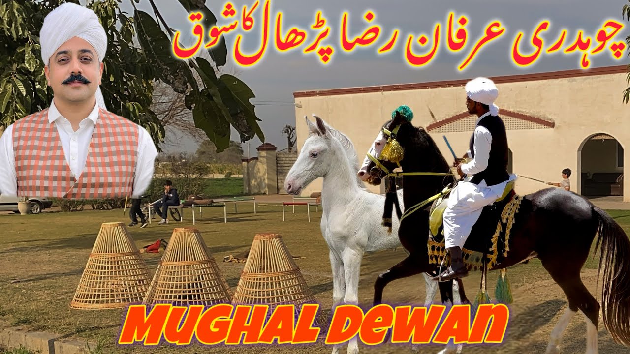 Mughal Dewan waloun ka shoq | Horse Lover’s Paradise | Ek Hi Jagah Sab Kuch | Dera ka mukmal tour
