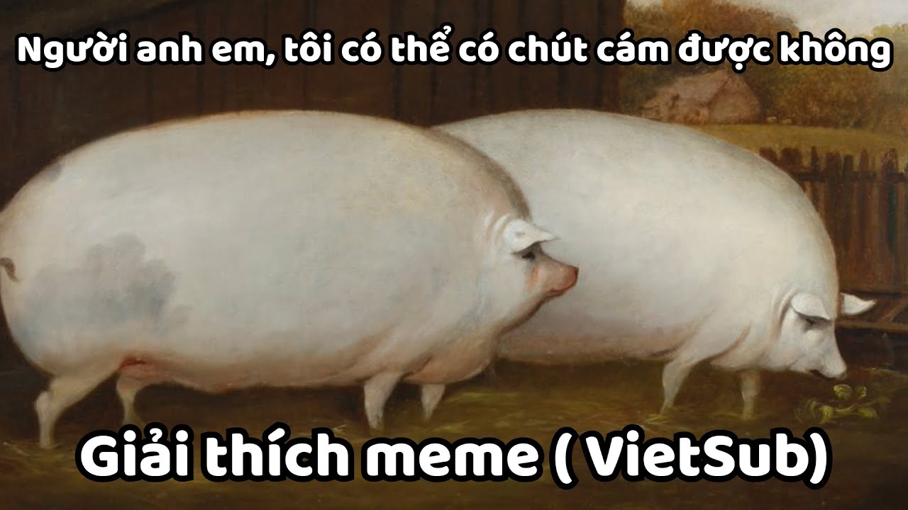 Brother, May I Have Some Oats VietSub | Giải thích meme