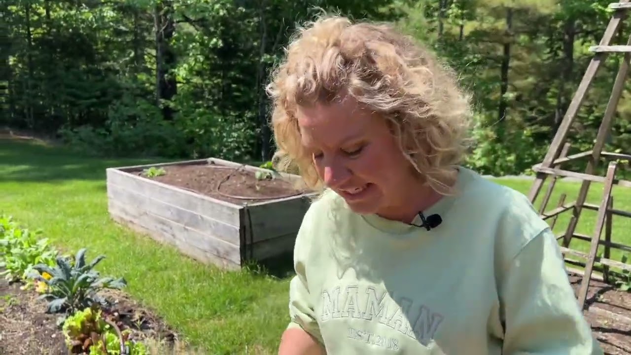 Comment confectionner un pot potager