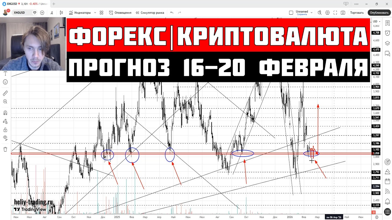 Прогноз Форекс и Криптовалюта 16 - 20 февраля 2026: Доллар, Рубль, Биткоин, Золото, Нефть, S&P 500