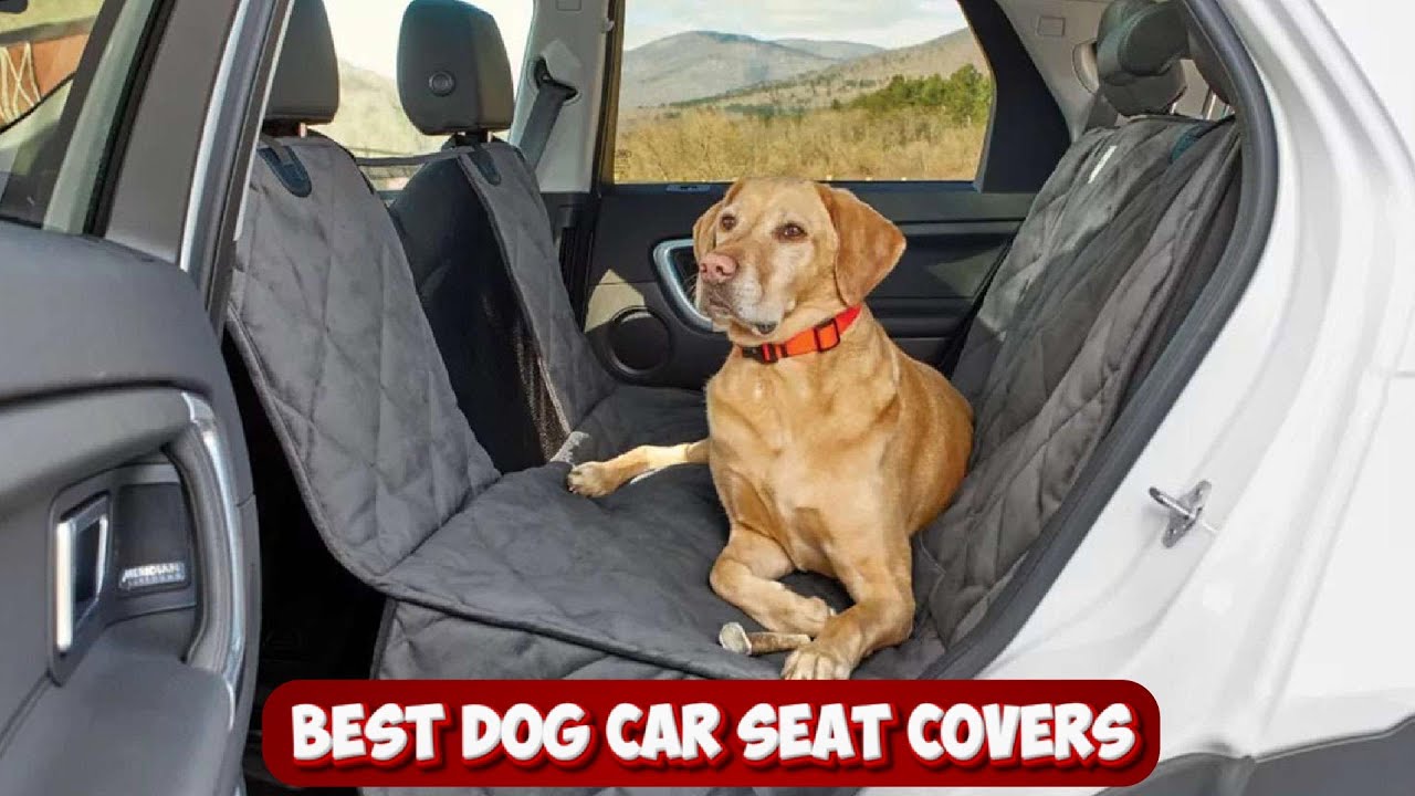Ride in Style: Uncovering the Best Dog Car Seat Covers for Ultimate Pet-Friendly Travel!