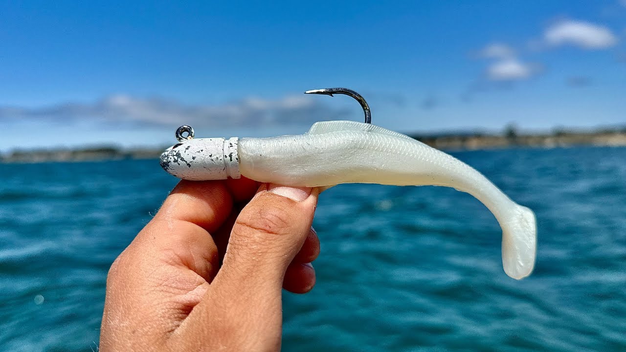 Swimbait Halibut Bite on FIRE! Back to Back Hookups