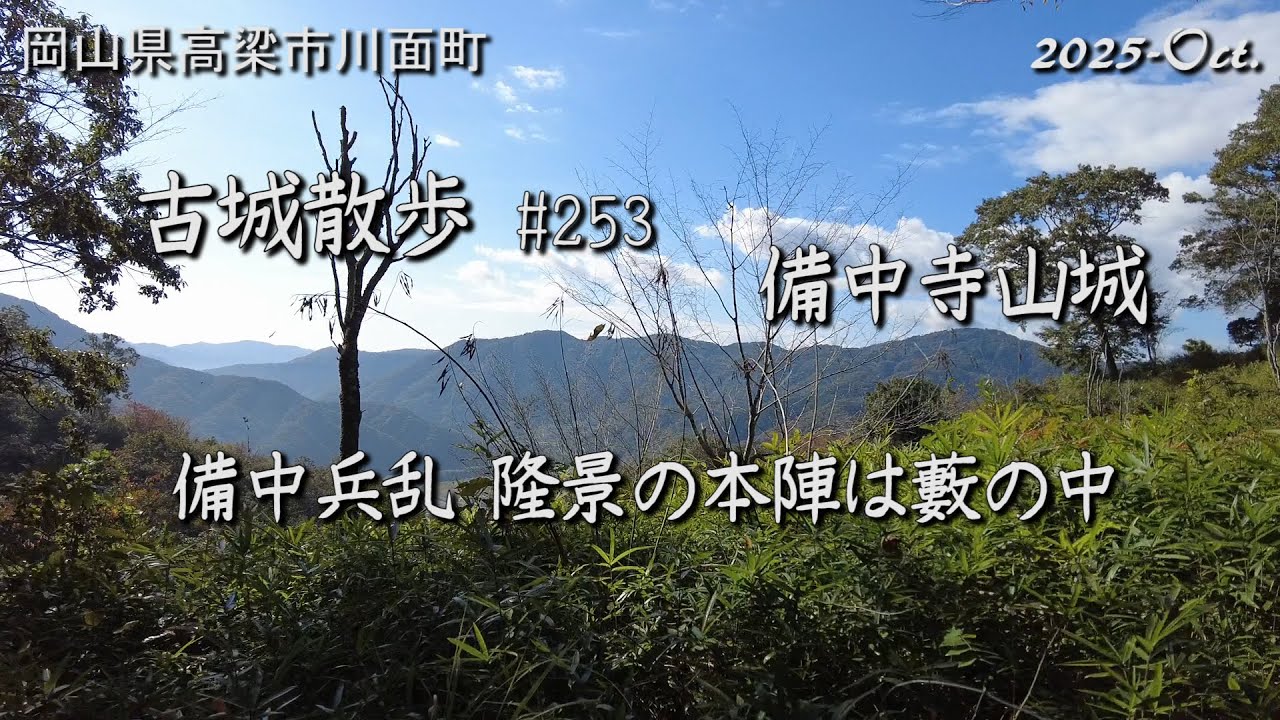 【城跡めぐり】備中寺山城(岡山県) 古城散歩No.253 備中兵乱 隆景の本陣は藪の中