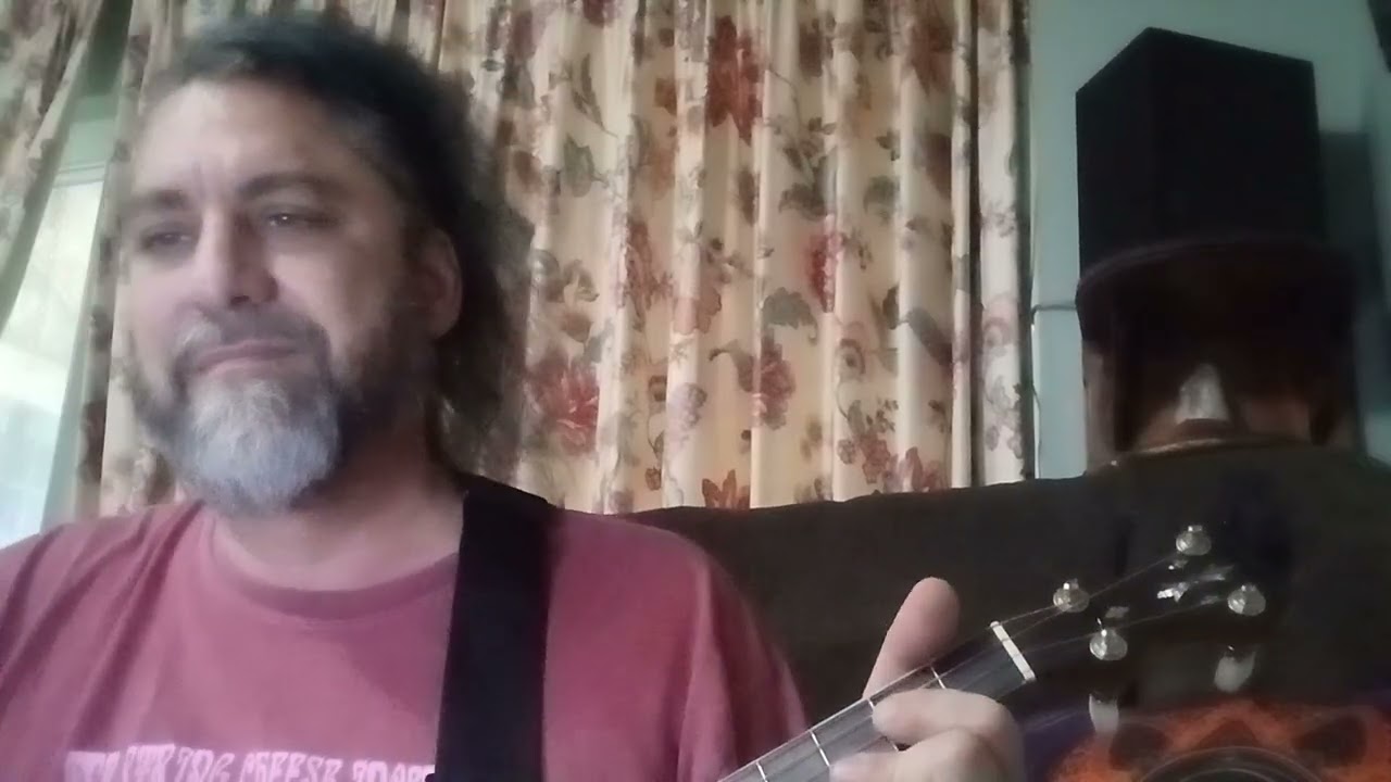 Pigs (three different ones) - banjo cover with accompaniment by dogs (three different ones)