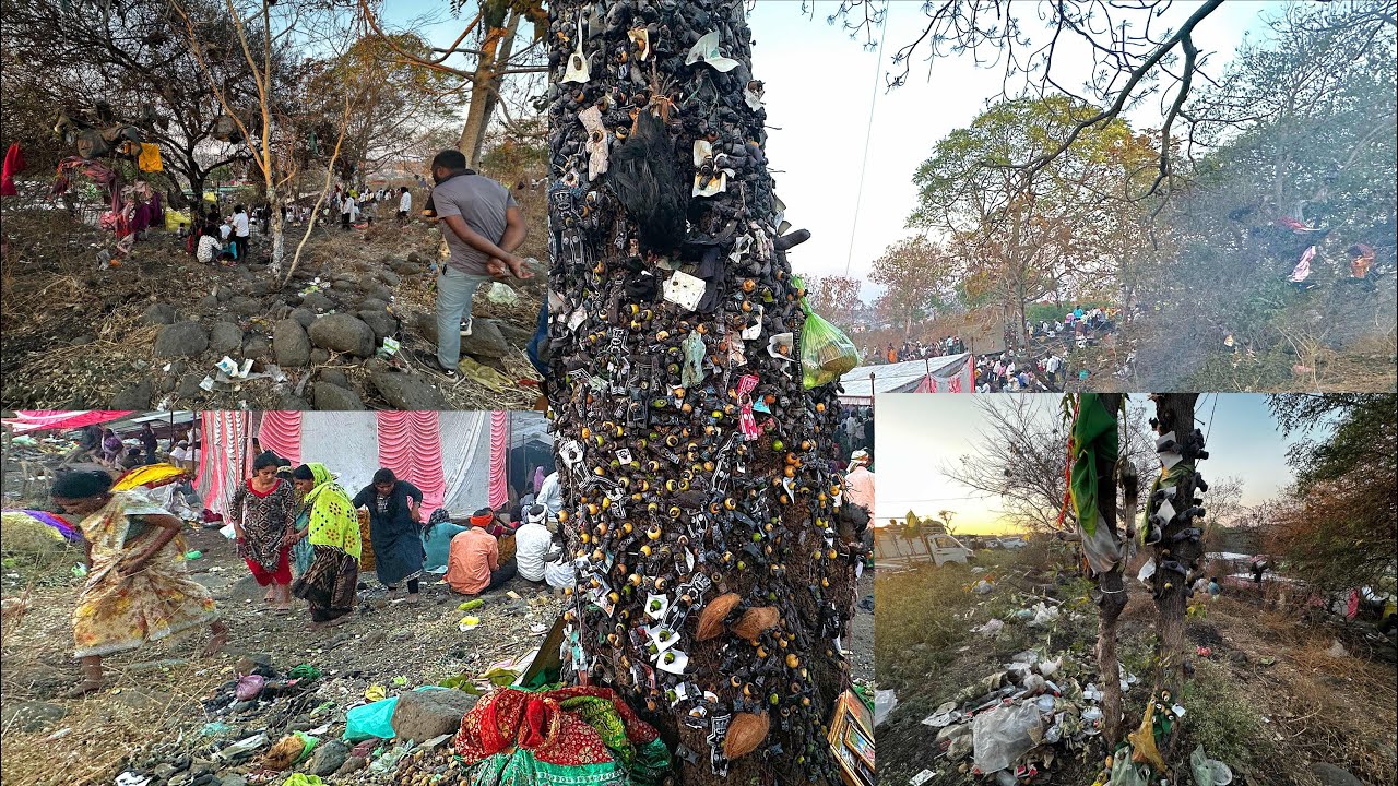 सैलानी बाबा यात्रा 2026 || Chikhli - Buldhana Sailani Baba Yatra 2026