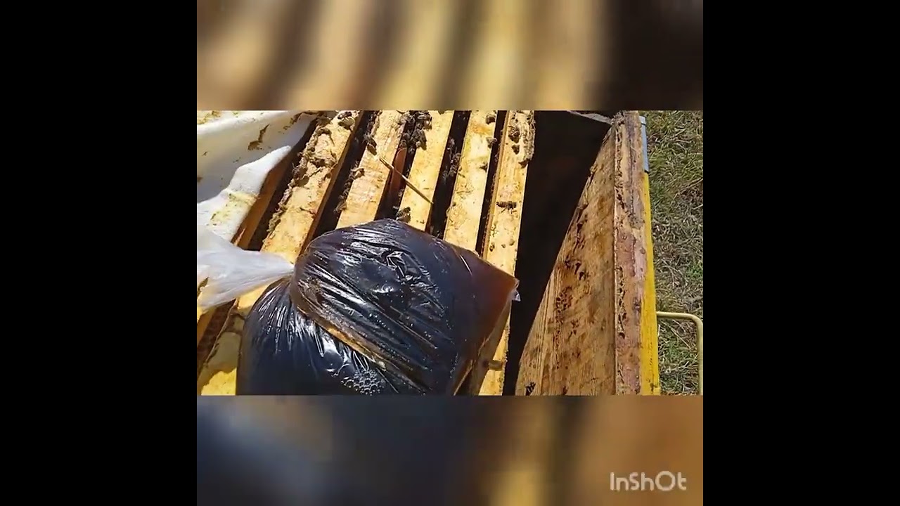Գարնանային բուժումներ 2