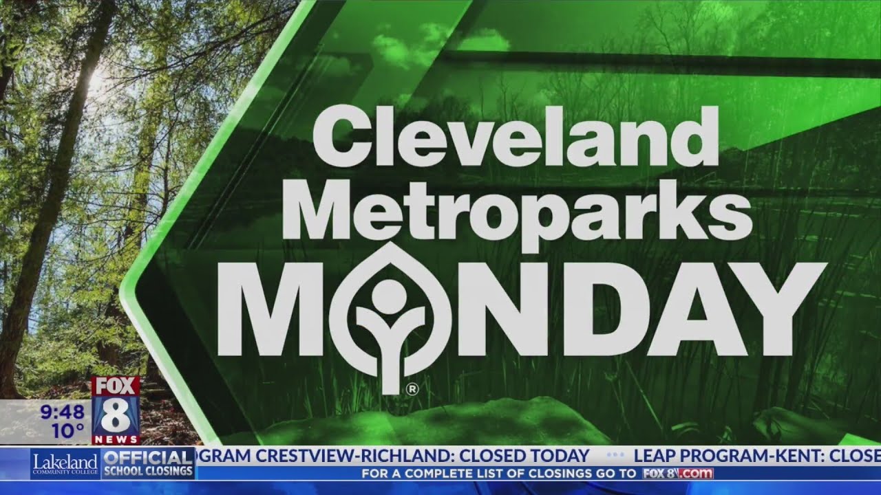 MetroParks Monday: Feed a bird in the palm of your hand