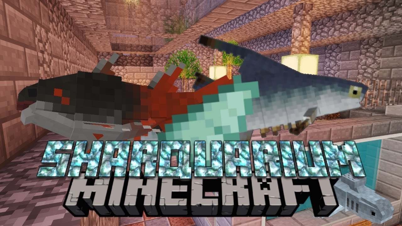 Spiny Sharks and Stethacanthus - Minecraft Sharkquarium