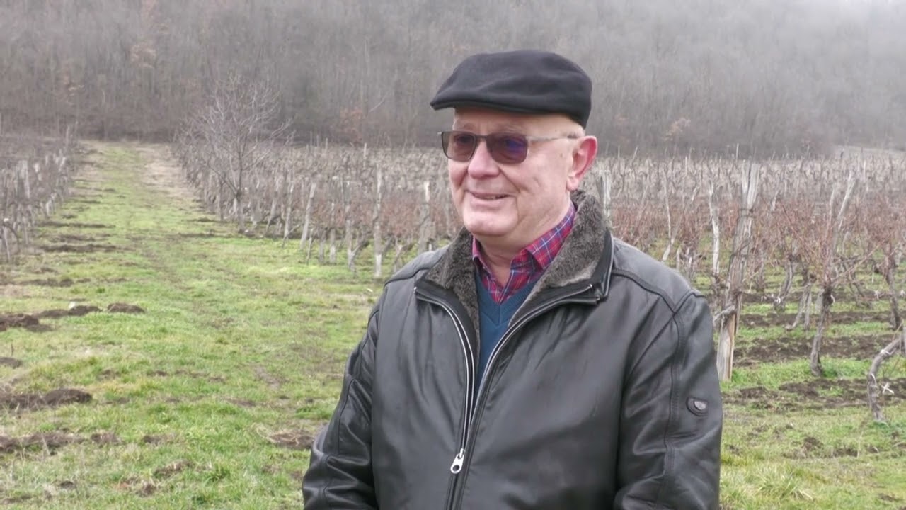 Vinogradarstvo u Srbiji - Kakvo je stanje u vinogradima nakon zime?